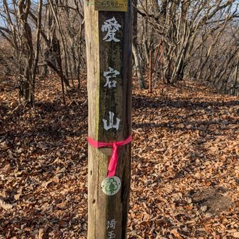 愛宕山登頂🕺