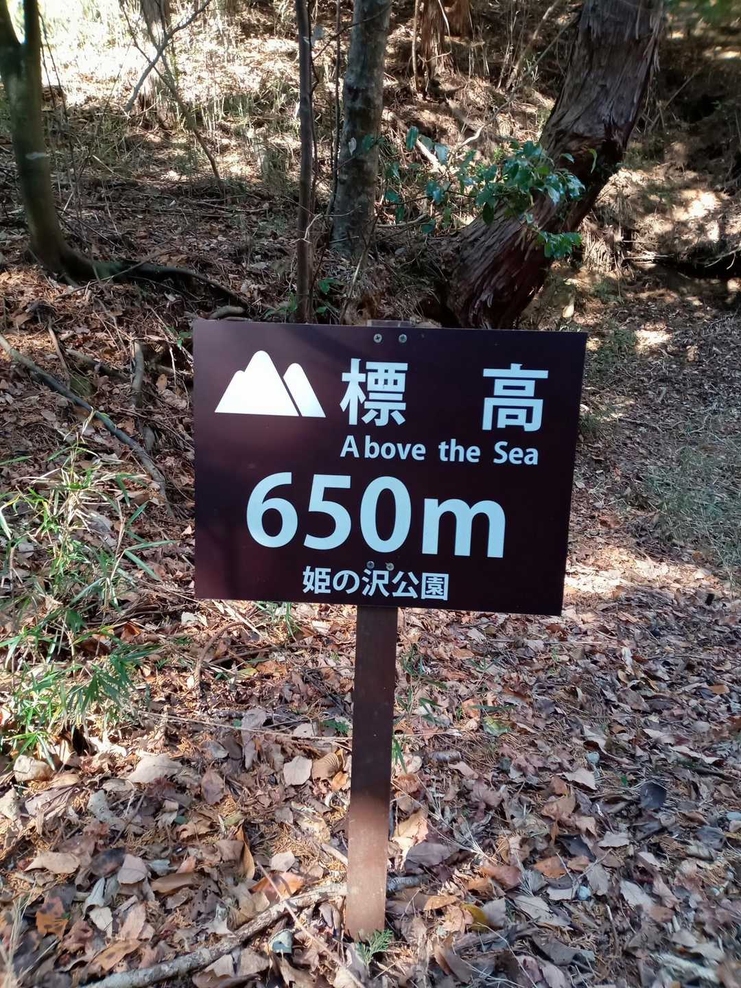 日金山-東光寺-岩戸山 往復コースの写真
