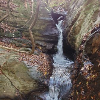 丹生酒殿神社から５分ほどの所にある宮滝です。道からは見えません。落差５メートルほどの小さな滝で、天然記念物です。
