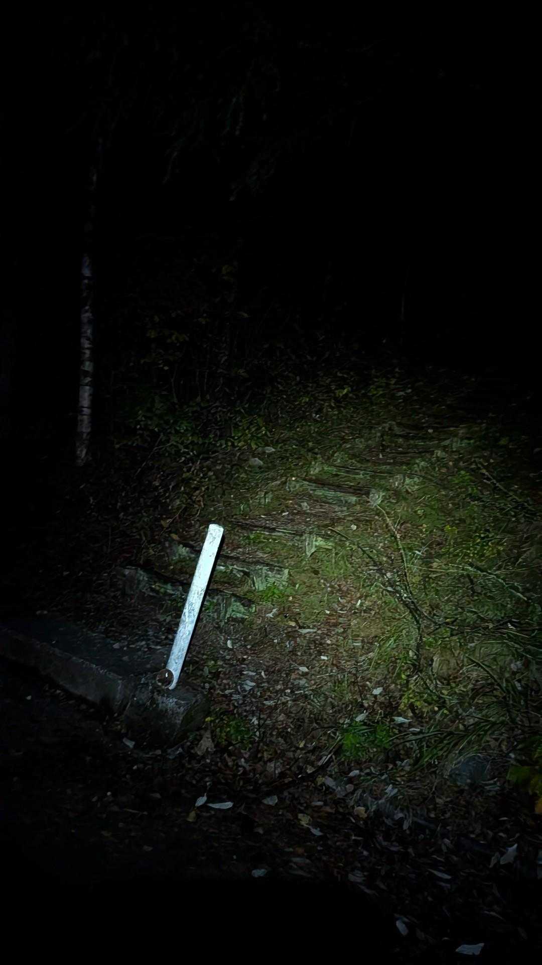 こわいー😨