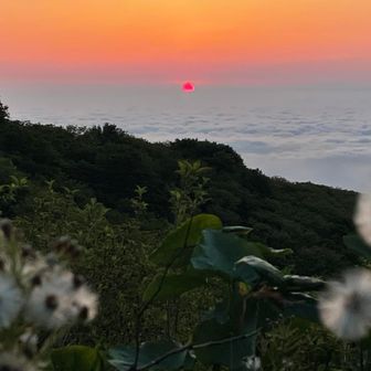 太陽が出ました。でも、薄い雲の層の中