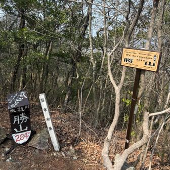 勝山| ᐕ)っ🚩 あとは下山するのみ！