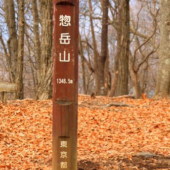 惣岳山到着
あとちょっと