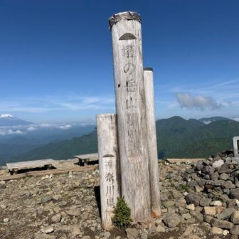富士山見えて良かった