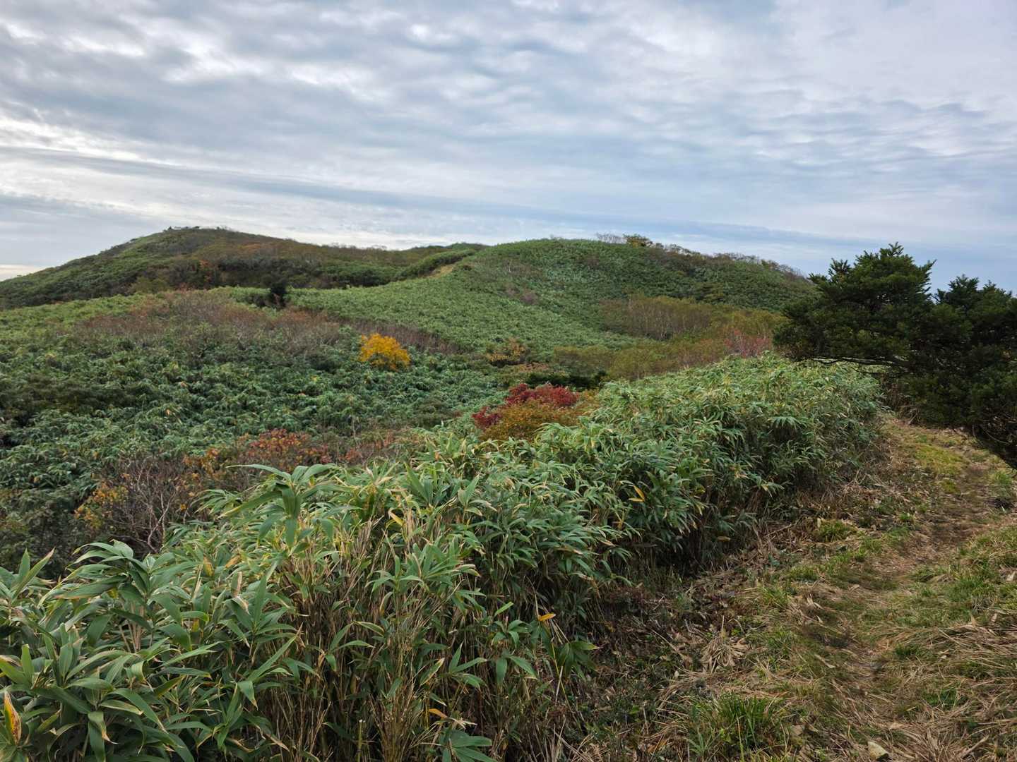 温見峠-能郷白山 往復コースの写真