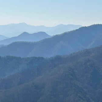 奥に見えるのは丹沢