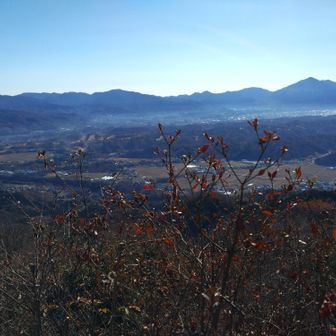 武甲山と秩父盆地