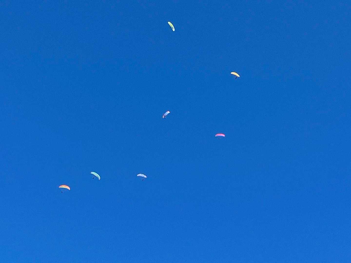 空にはパラグライダーがたくさん飛んでました😊
気持ち良さそう