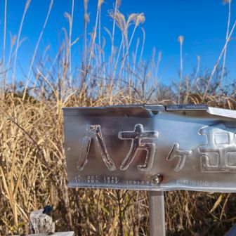 銀プレ好きや❤