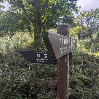 まだまだ暑いです
帰りましょう