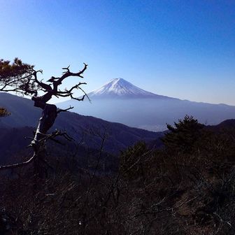 清八山山頂より