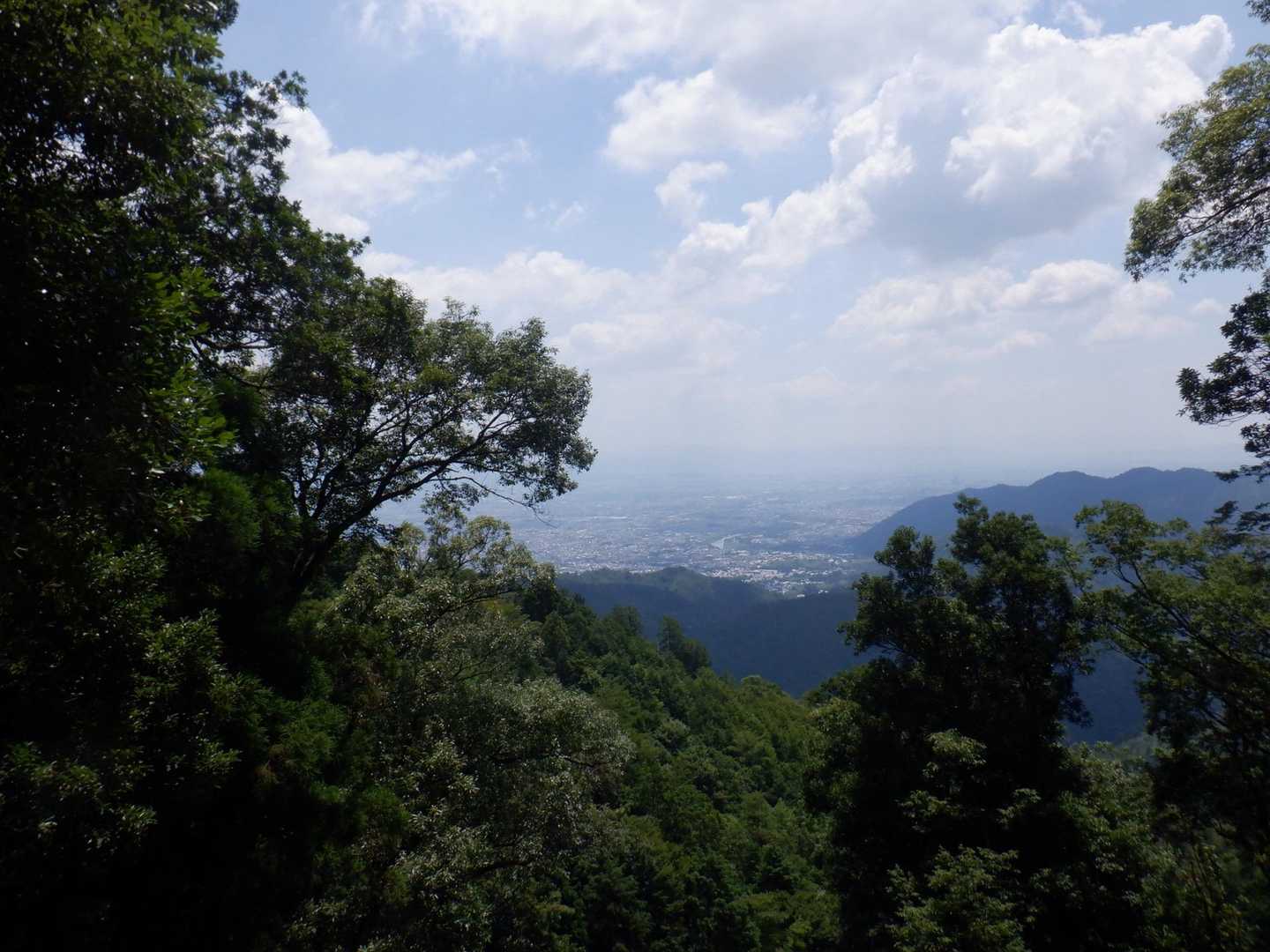 愛宕山 往復コースの写真