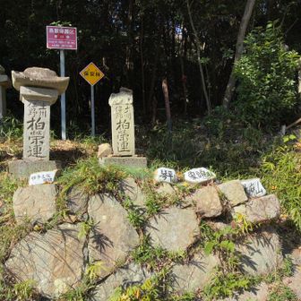 落ち葉すべり下山