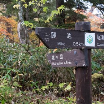 分岐を燧ケ岳へ