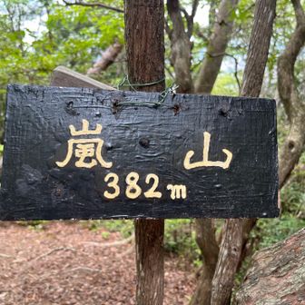 四座目の嵐山 382m

眺望はありません

次の眺望ポイントを目指して休憩なし