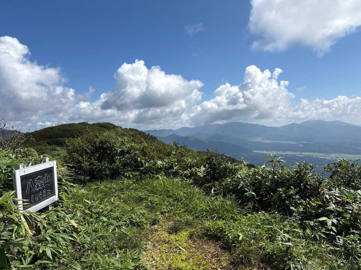 薬師原登山口-八森山 往復コースの写真