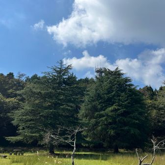 秋晴れ
暑いけど涼しい