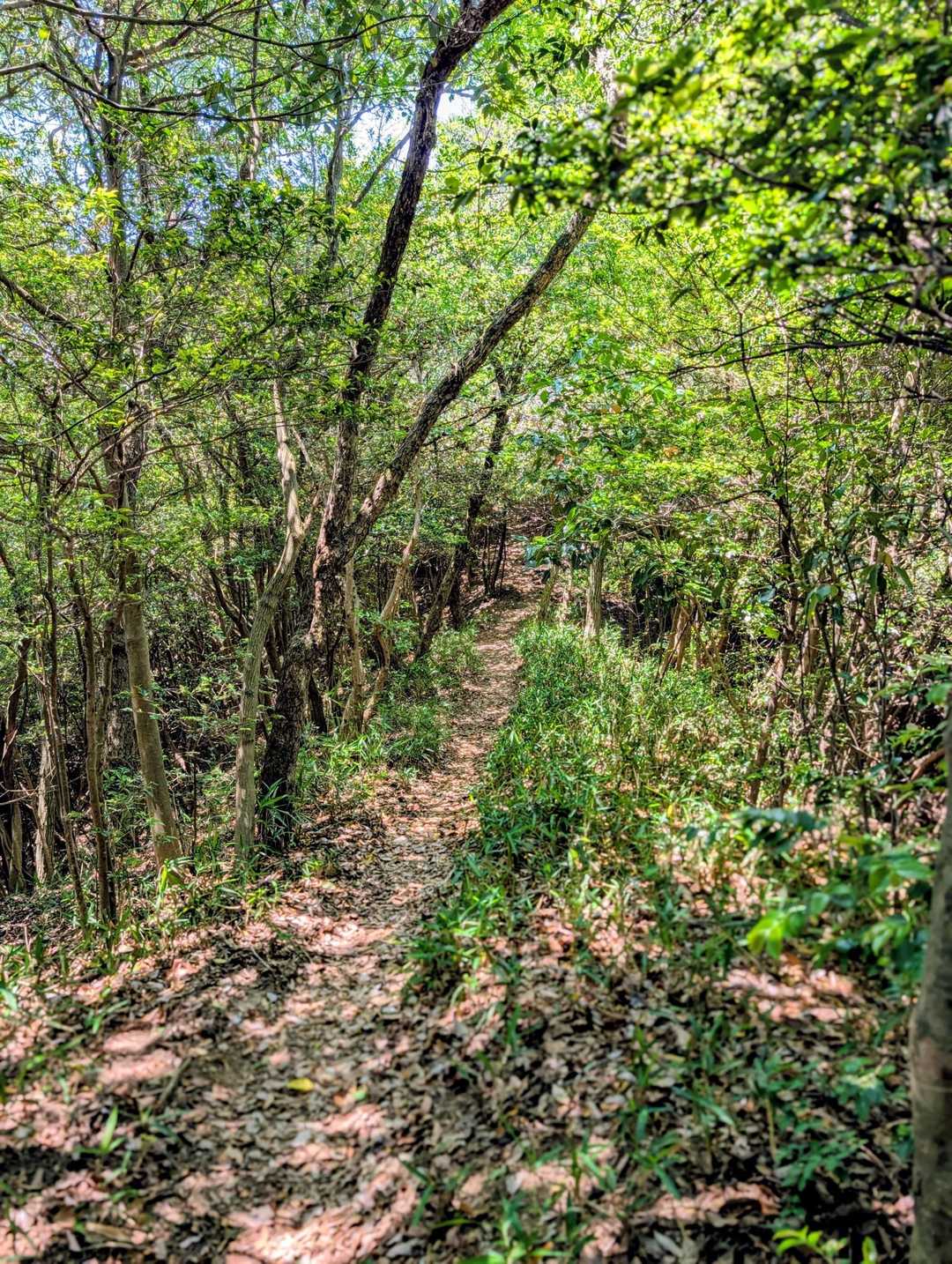 下山、下山
水分が足りず 水筒が空っぽに。茹でダコになりながら下山し反省💦