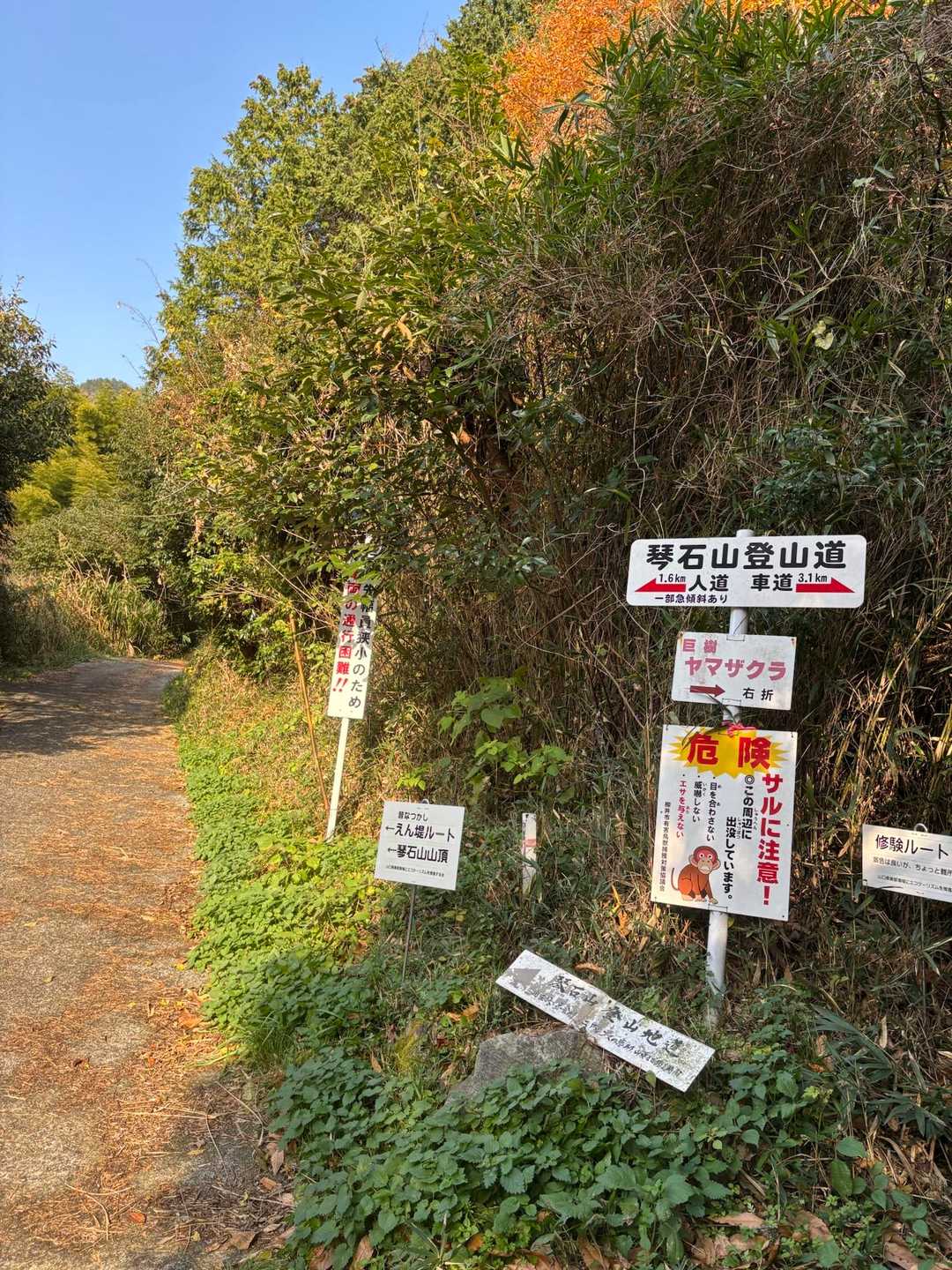 ここから入山。左側から上がって右側から降りてくる予定です👣