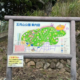 ひぇ〜クマが出るって😱