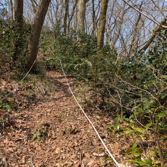 下山で2回尻もち…
来てよかった🤧
