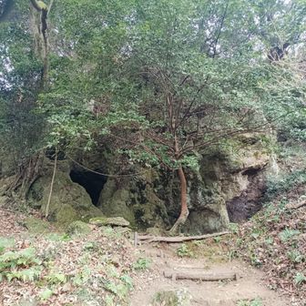 全景だとこんな感じ