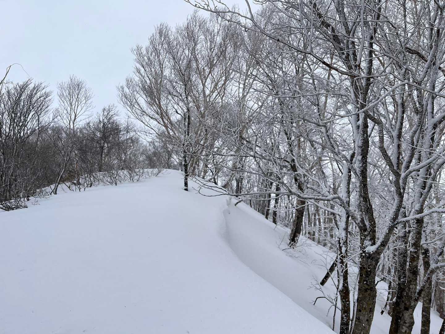 ちょっと雪庇