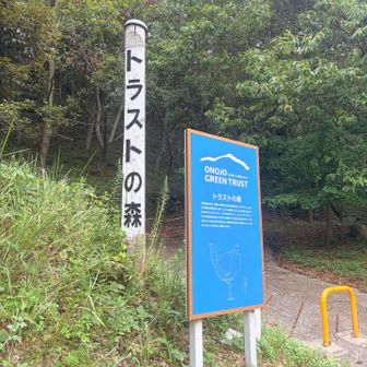 ようやくここまで来ました。水の量が心配😨