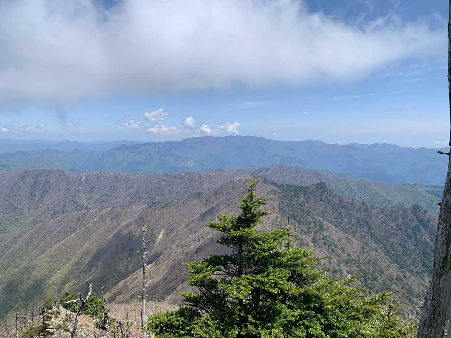 しかし下山途中の展望地で景色を楽しむことができました✨
たぶん大台ヶ原方面