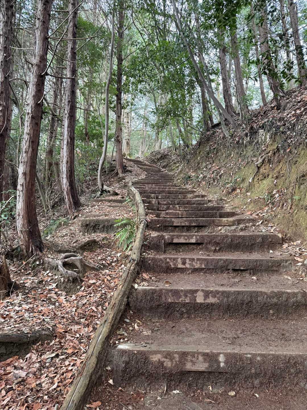 稲荷山手前