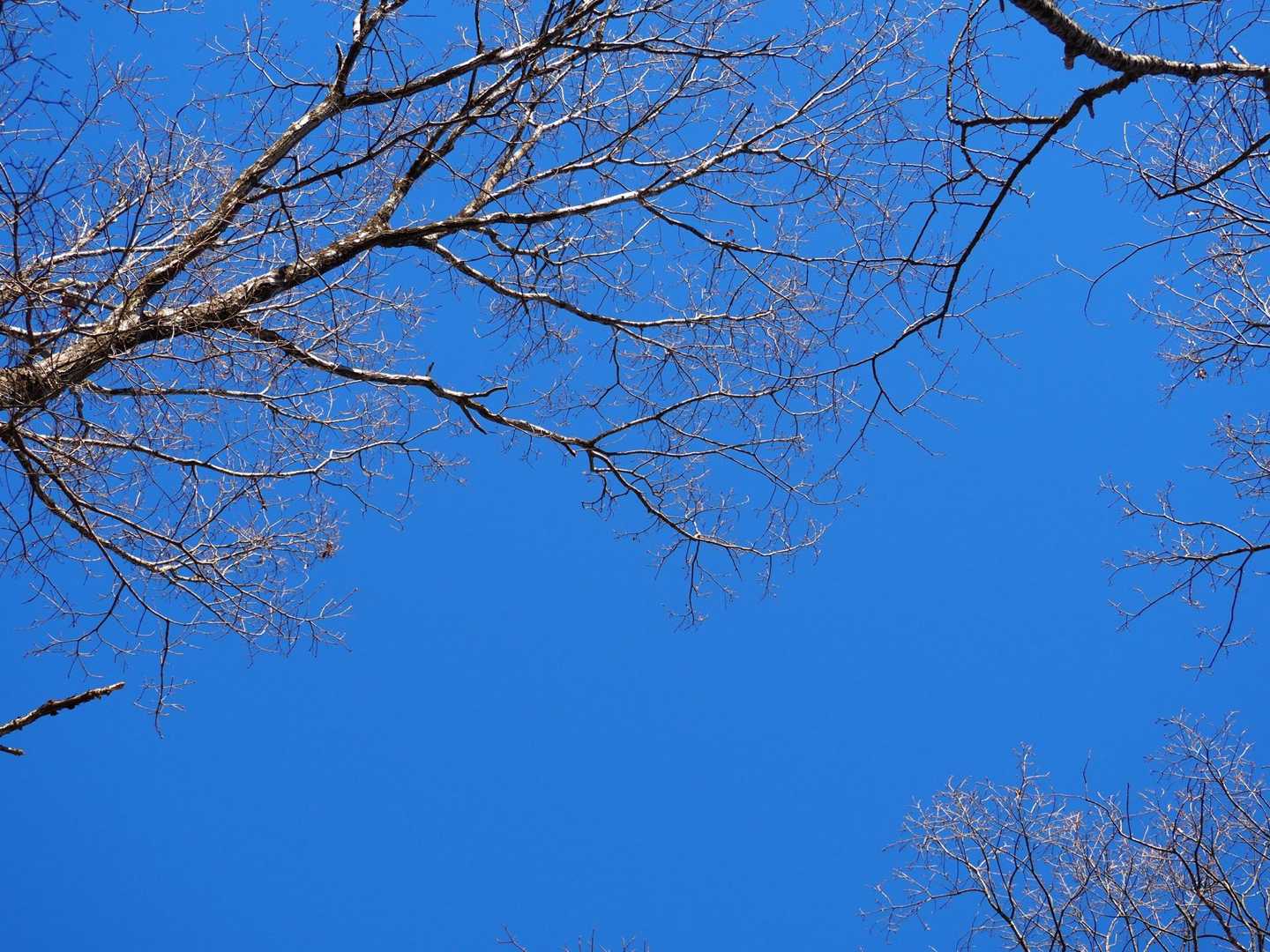 素晴らしい青空☀️