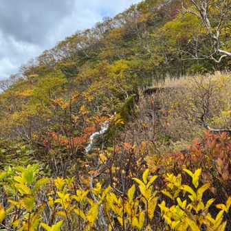 池から小さな滝が落ちてます。