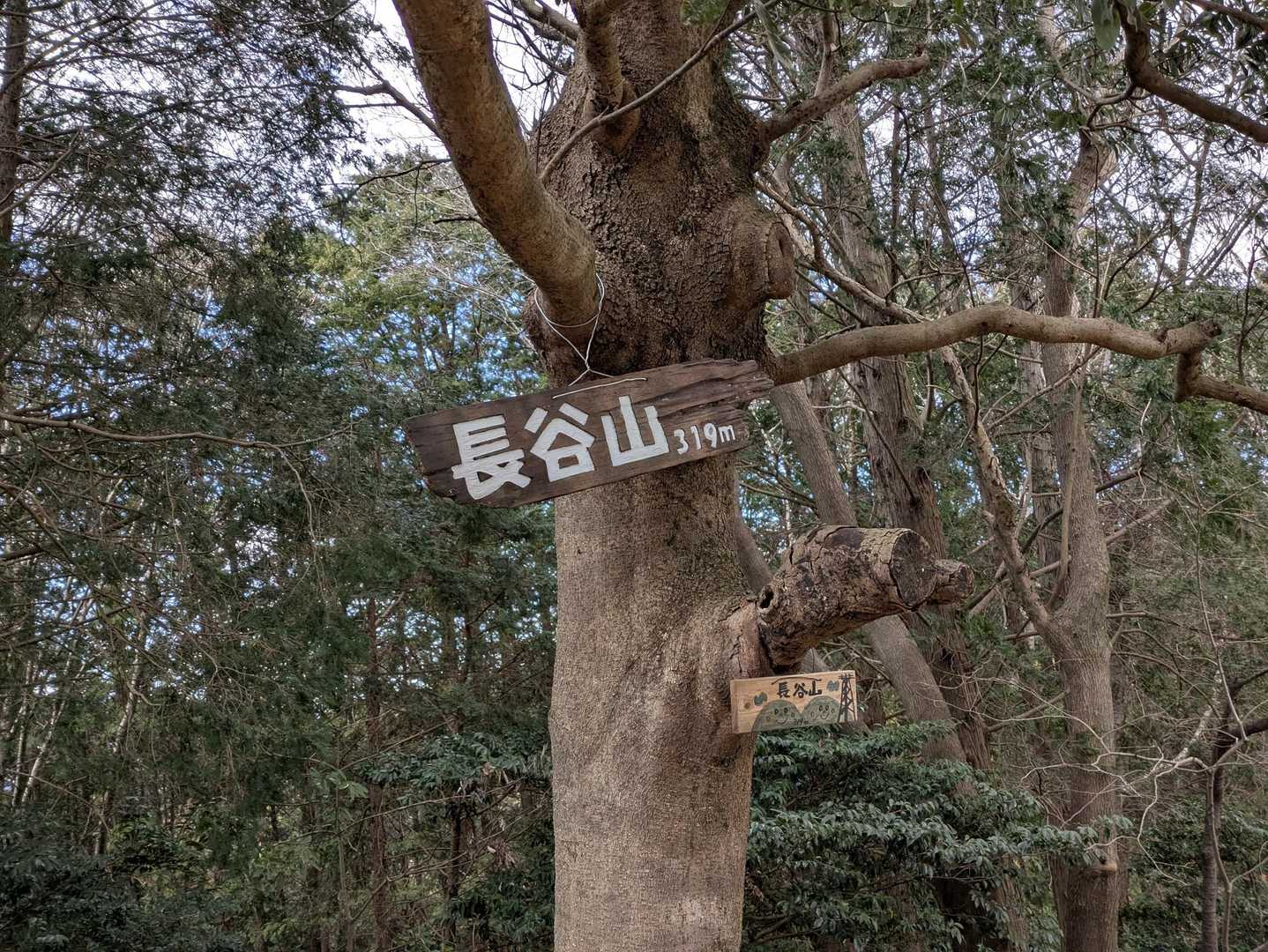 長谷山ハイキングコース入口-長谷寺-長谷山 往復コースの写真