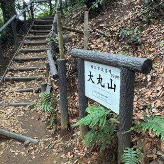 横浜市最高峰の大丸山。
前来た時はスルーしたと思ったので、登ってみます。