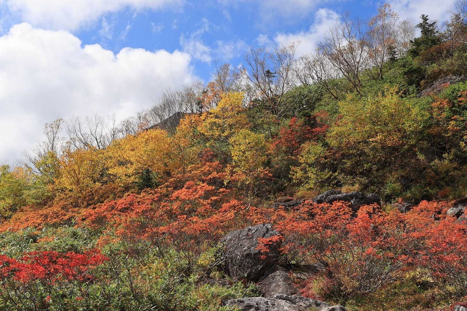 栂池ロープウェイ 自然園駅-栂池登山道入口-天狗原-乗鞍岳 往復コースの写真