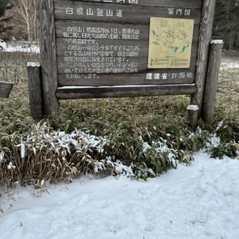 駐車場近辺はうっすら積雪❄️