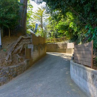 師岡熊野神社到着