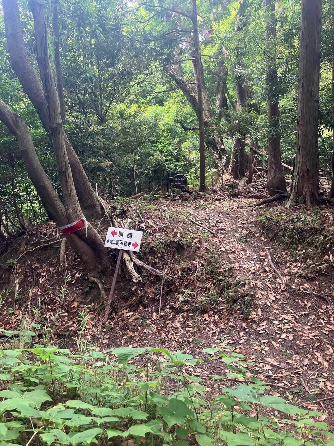 大和朝倉駅-白山登り口-白山-巻向山-高山神社-初瀬山-初 縦走コースの写真