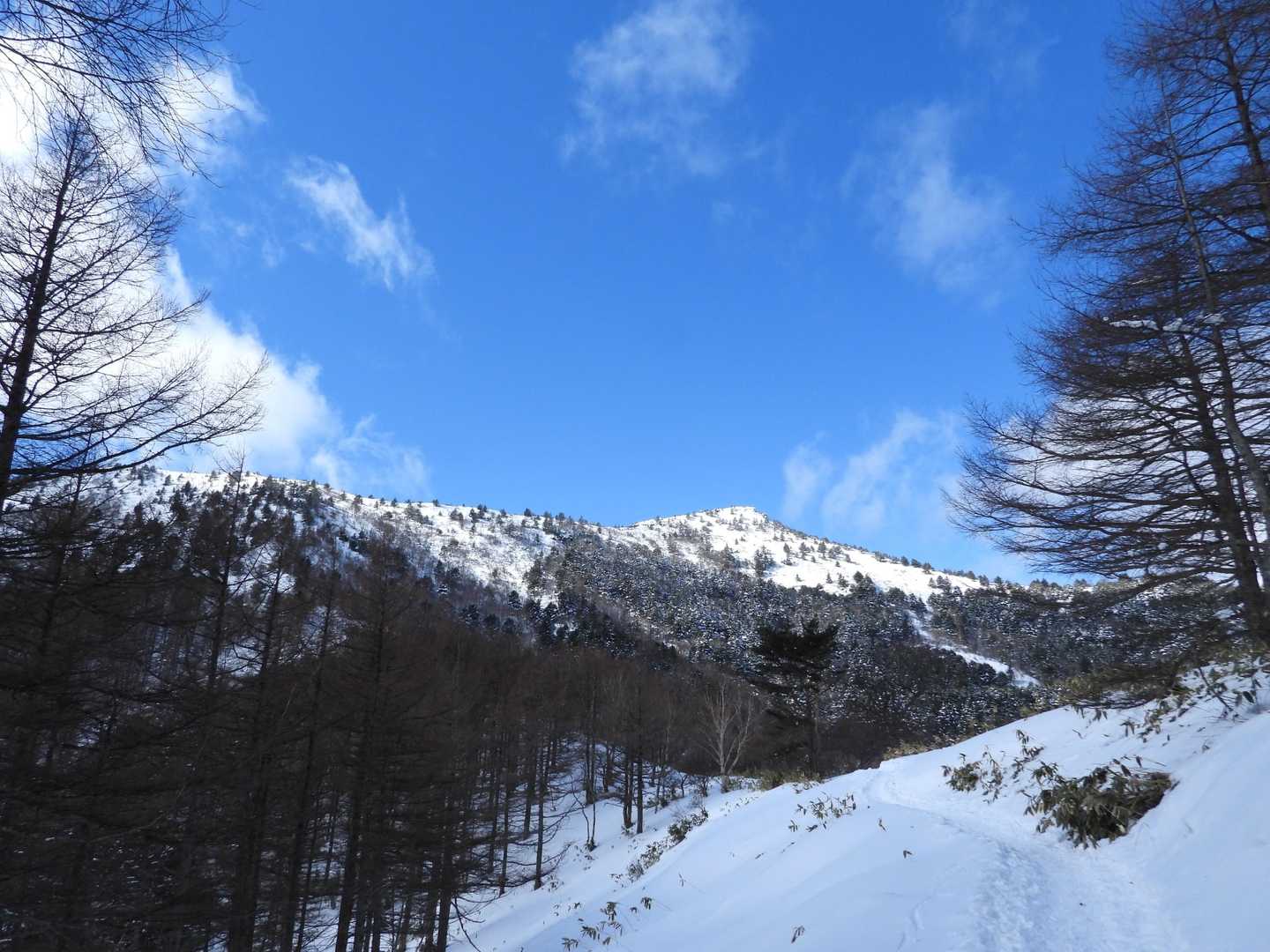 昨年の様な霧氷天国✨️ではなかったけど、青空🔵と☃に大満足🈵💯