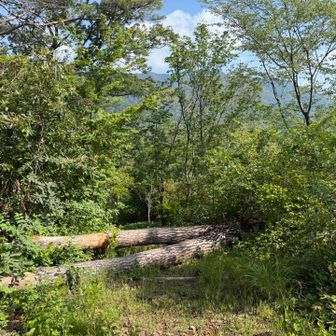 かかしの里方面へ下山します