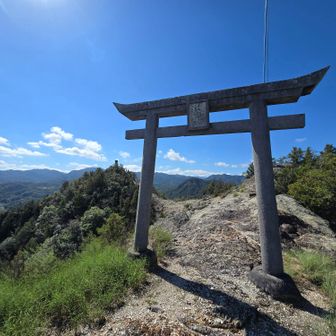 さあ、下山
YAMAPで人が歩いてる軌跡がある右側から下りることに…
少し不安でしたが、
まだ、舐めてました。