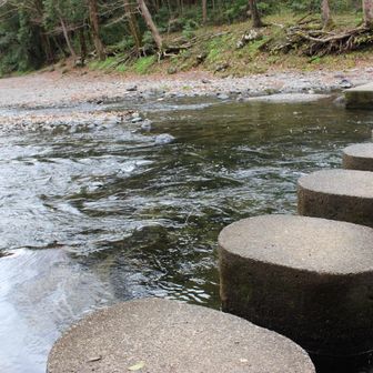 けっこう水量があって増水したら渡れないらしい。

こういう所はパーティ向きですね。
ソロだとジミ〜につまらない😑