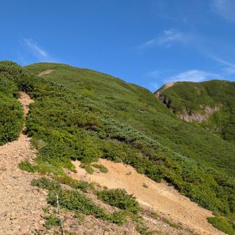 山頂近づいてきました（奥が山頂）