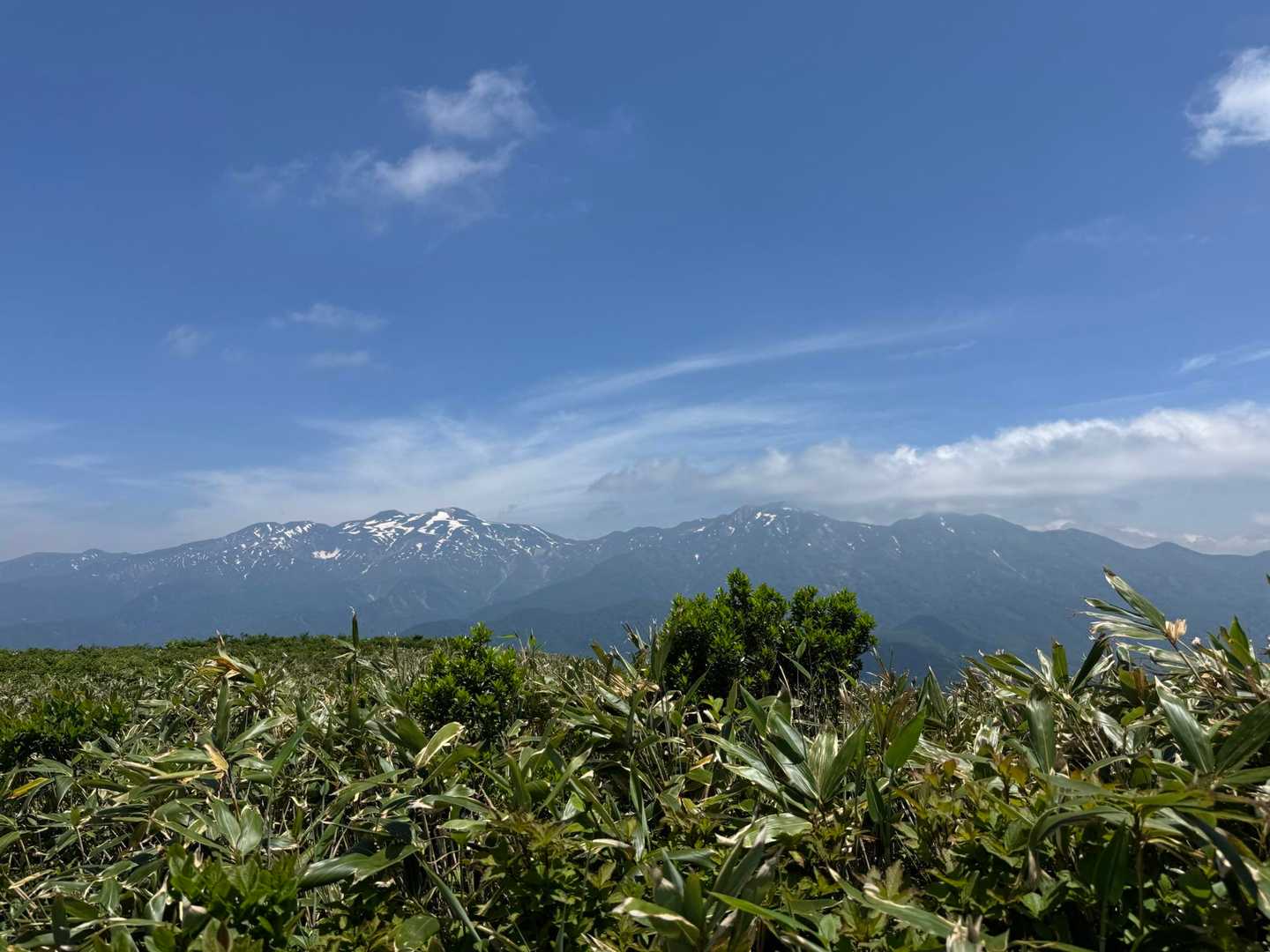 ランチタイム時、下山は周回でどう？と話しになりました。（石川県の方は最初から周回予定だったそうです。）