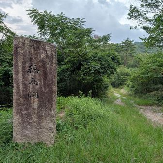 穂高湖を後にして〜
車道を歩き摩耶山まで向かいます〜🚶‍♀️