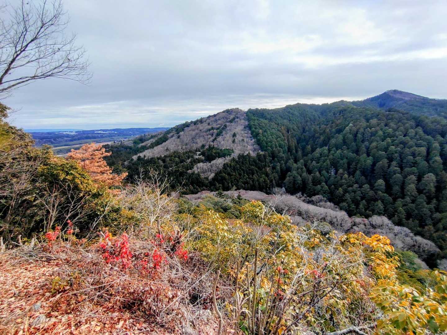 東登山口-御前山-西登山口 周回コースの写真