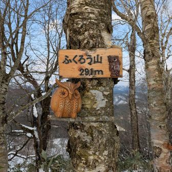 久しぶりのふくろう山🦉
木彫りの彫刻が加えられていました