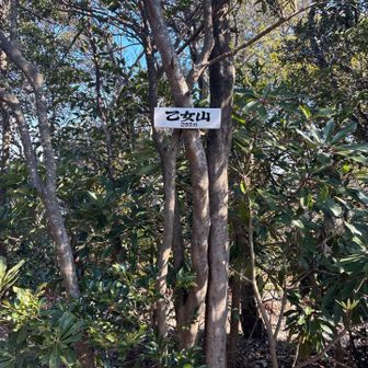 乙女山　数年ぶりなのではじめて見た