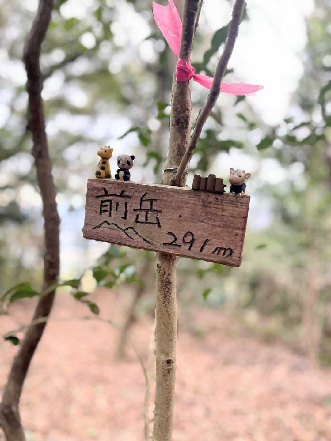 前岳 往復コースの写真