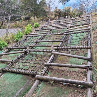 アスレチック施設も✨